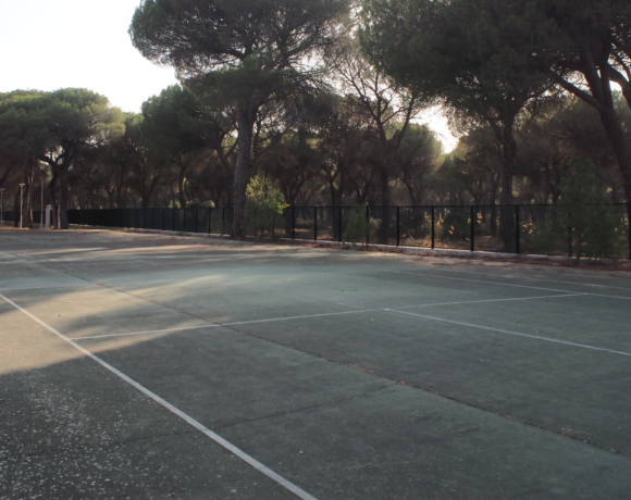 Pistas de tenis