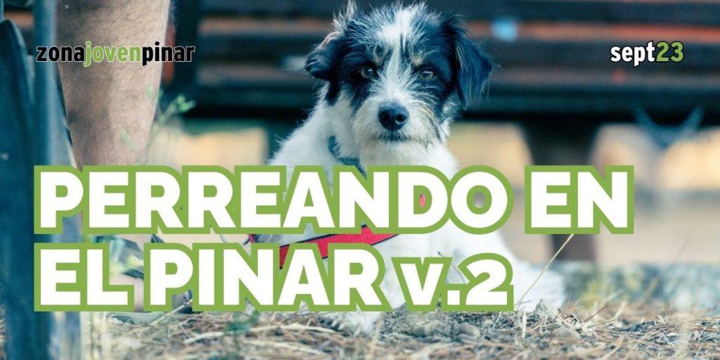 perreando en el pinar un lugar para conocer el trabajo de las protectoras de animales de Valladolid y su entorno
